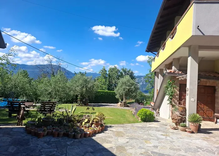 Strancar Wines Daire *