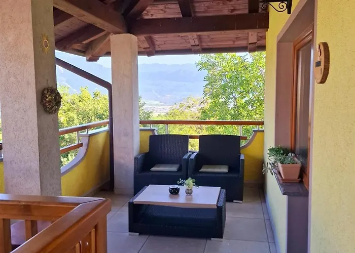 Strancar Wines Daire